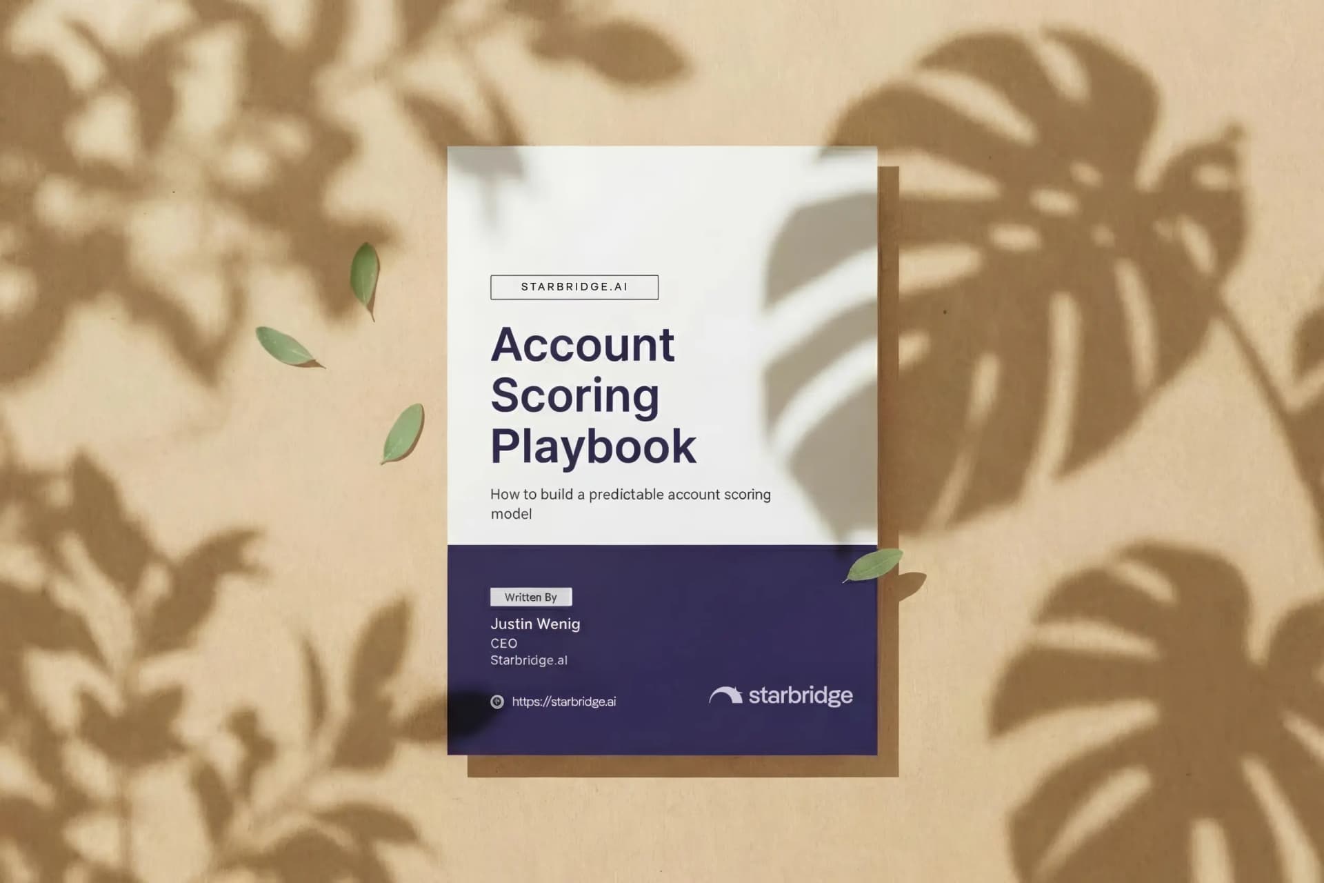 The Account Scoring Playbook
